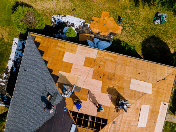 Best Shingle Roofing Installation  in Buena Vista, MI