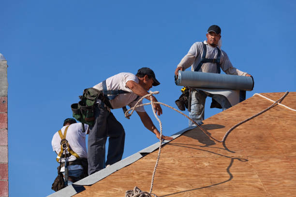 Best Slate Roofing Contractor  in Buena Vista, MI
