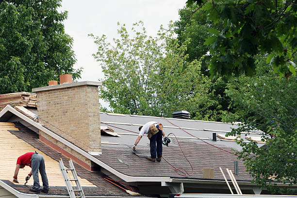 Best Roof Repair Services  in Buena Vista, MI