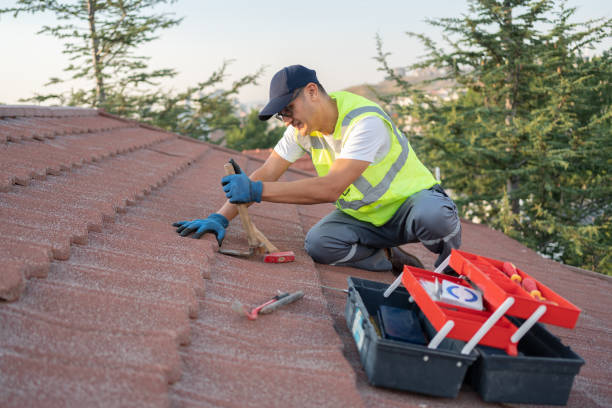 Best Flat Roof Repair Services  in Buena Vista, MI