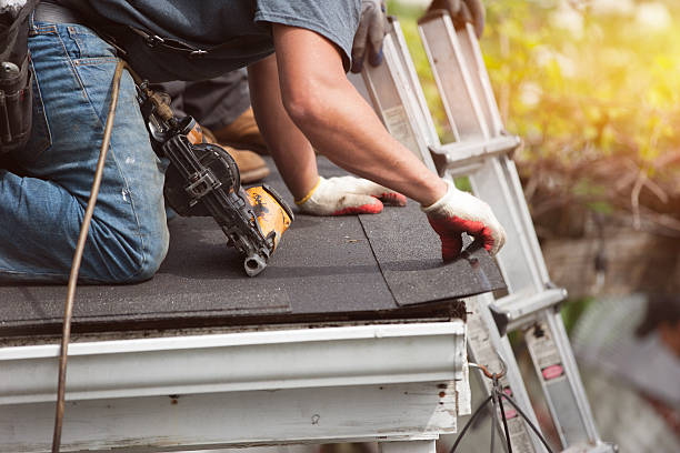 Best Gutter Installation and Roofing  in Buena Vista, MI