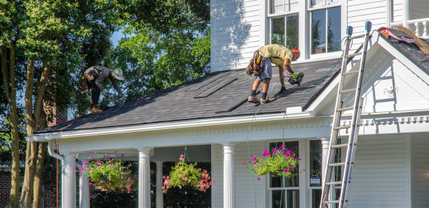 Best Roof Waterproofing Services  in Buena Vista, MI
